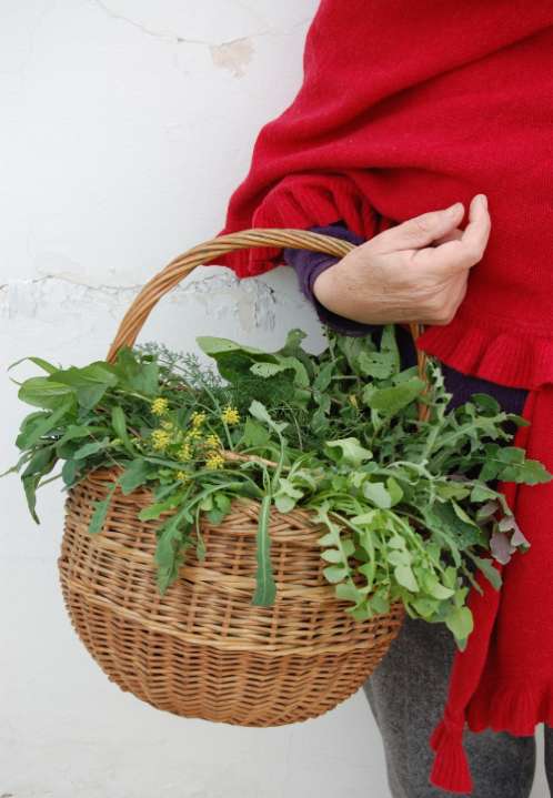 LA FLORA SPONTANEA D USO ALIMENTARE nella tradizione popolare ITALIANA Fabiano