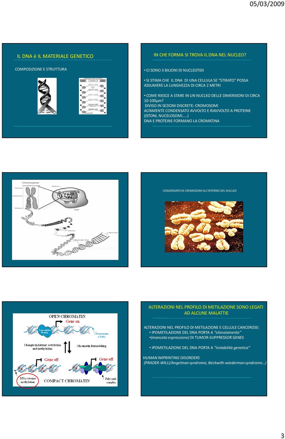 DICIRCA 10-100μm? DIVISO IN SEZIONI DISCRETE: CROMOSOMI ALTAMENTE CONDENSATO AVVOLTO E RIAVVOLTO A PROTEINE (ISTONI, NUCELOSOMI.