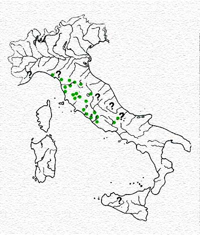 SPECIE ENDEMICHE DELLA REGIONE ITALICOPENINSULARE Ghiozzo di ruscello