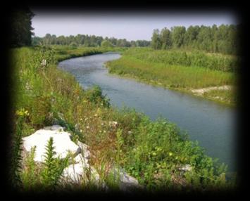 Riapertura del corridoio dell Oglio Il corridoio ecologico del Fiume Oglio sublacuale: elemento primario della Rete Ecologica Regionale ai fini della tutela della biodiversità AVVIATO BANDO TUTELARE