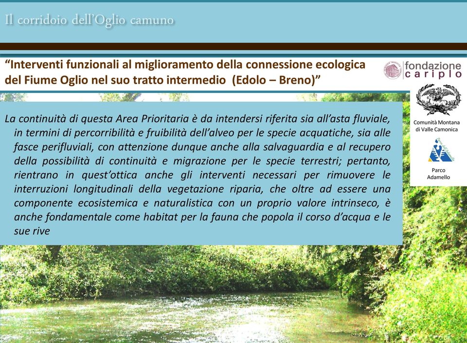 al recupero della possibilità di continuità e migrazione per le specie terrestri; pertanto, rientrano in quest ottica anche gli interventi necessari per rimuovere le interruzioni longitudinali della