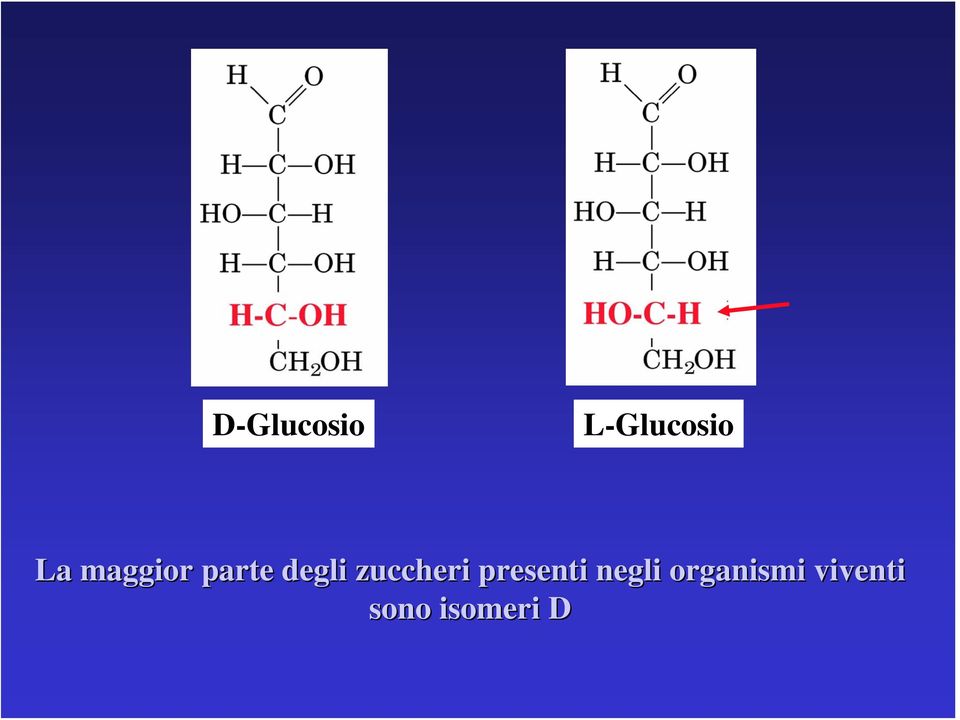 zuccheri presenti negli