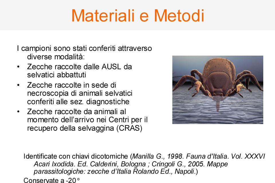 diagnostiche Zecche raccolte da animali al momento dell arrivo nei Centri per il recupero della selvaggina (CRAS) Identificate con