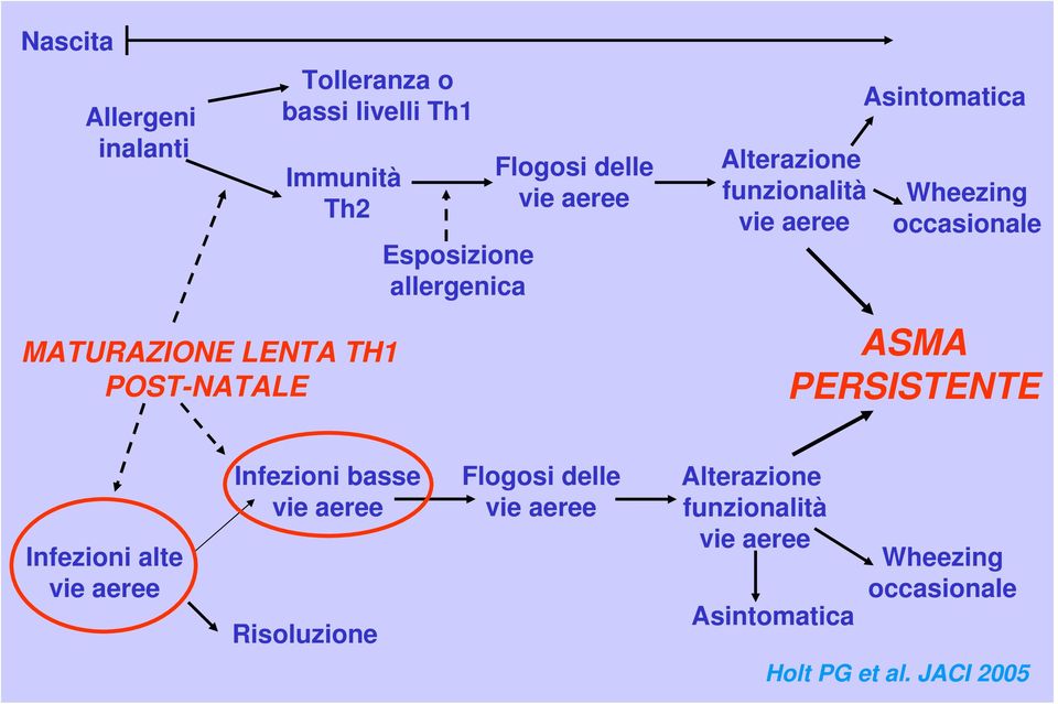 occasionale ASMA PERSISTENTE Infezioni alte vie aeree Infezioni basse vie aeree Risoluzione Flogosi