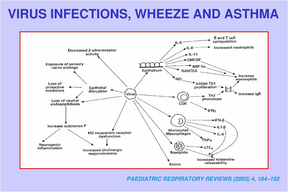 PAEDIATRIC