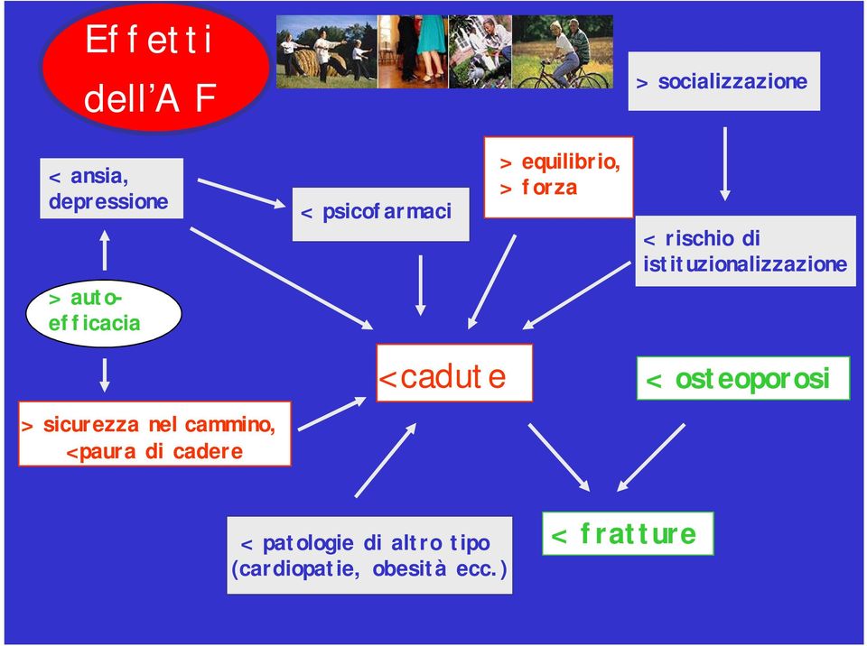 istituzionalizzazione > autoefficacia < cadute < osteoporosi >