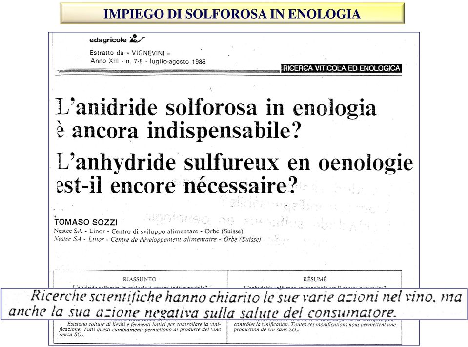 SOLFOROSA