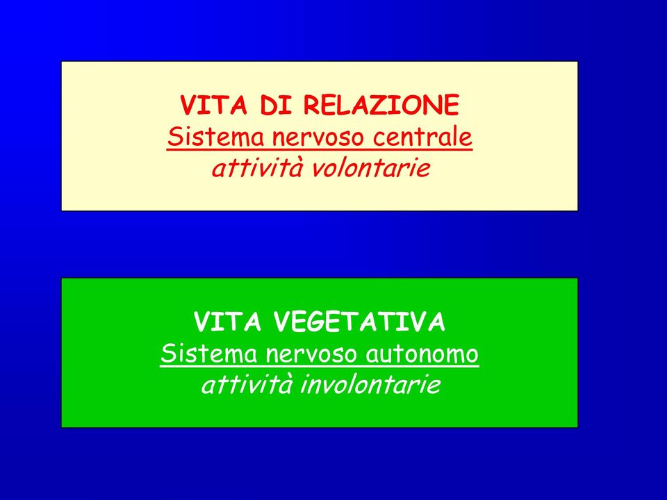 volontarie VITA VEGETATIVA