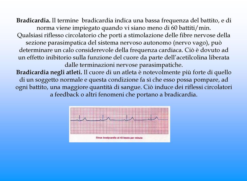 frequenza cardiaca. Ciò è dovuto ad un effetto inibitorio sulla funzione del cuore da parte dell acetilcolina liberata dalle terminazioni nervose parasimpatiche. Bradicardia negli atleti.