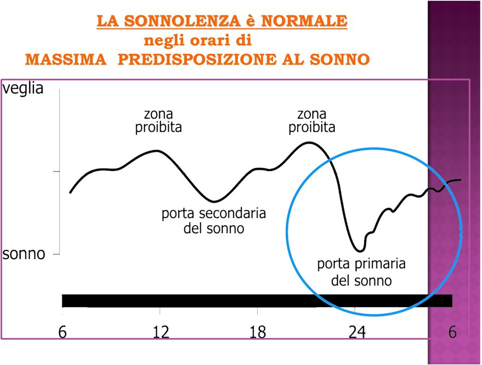 orari di MASSIMA