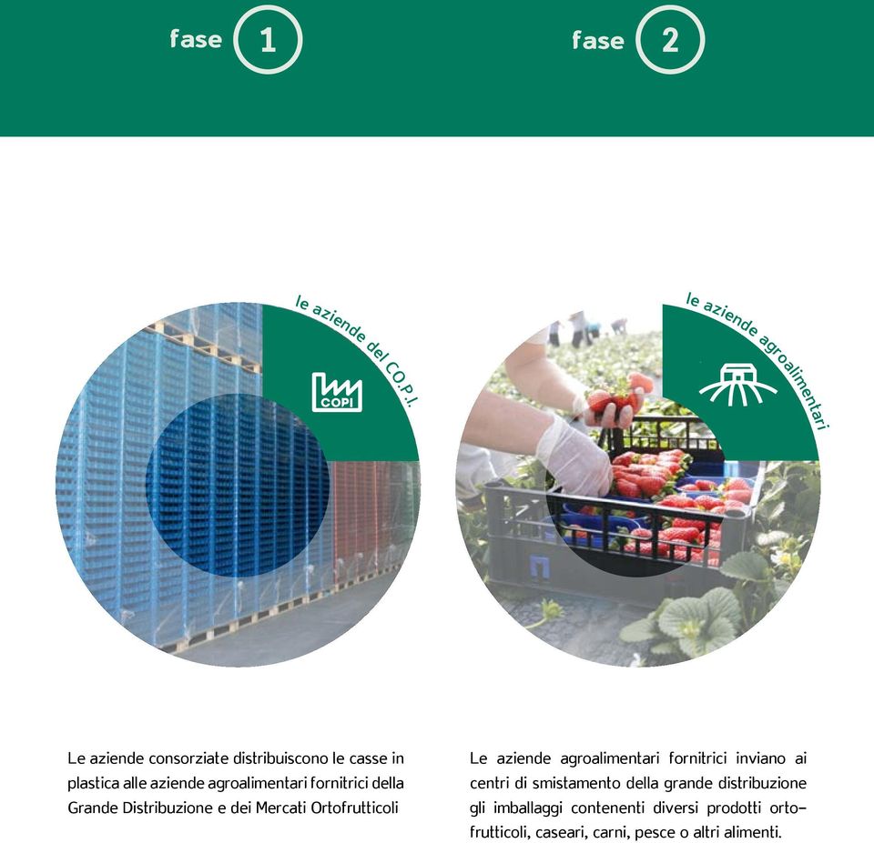 agroalimentari fornitrici della Grande Distribuzione e dei Mercati Ortofrutticoli Le aziende