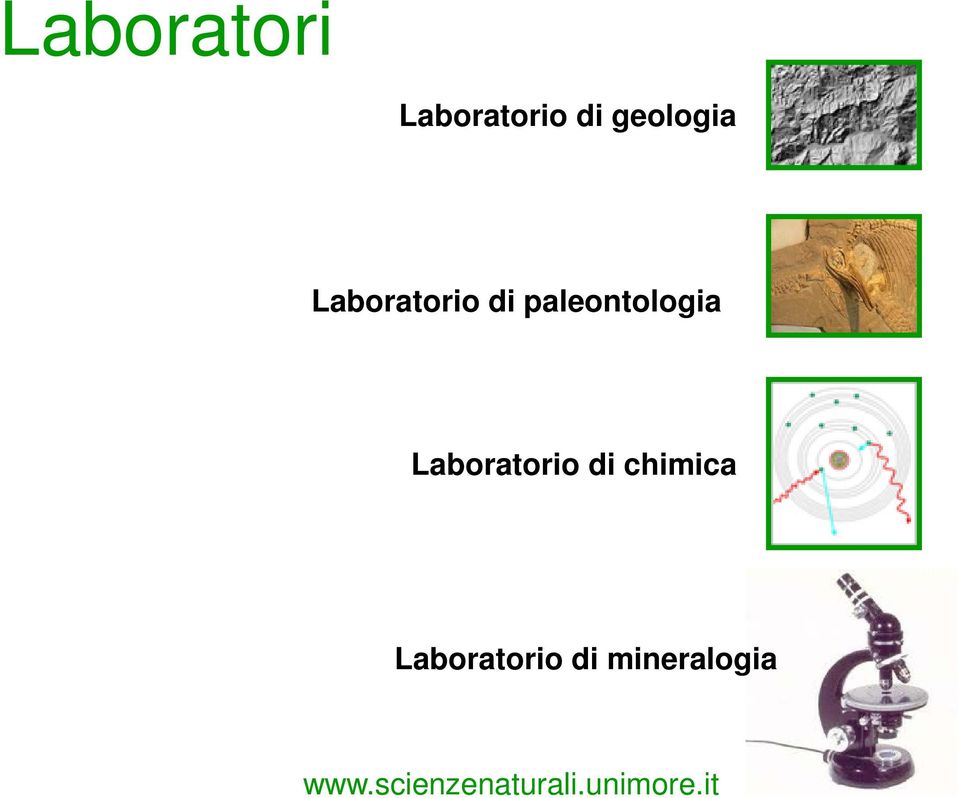 paleontologia Laboratorio di