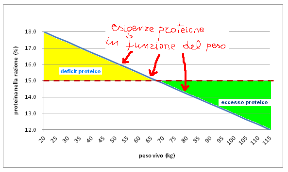 Bilancio proteico nei casi di impiego di