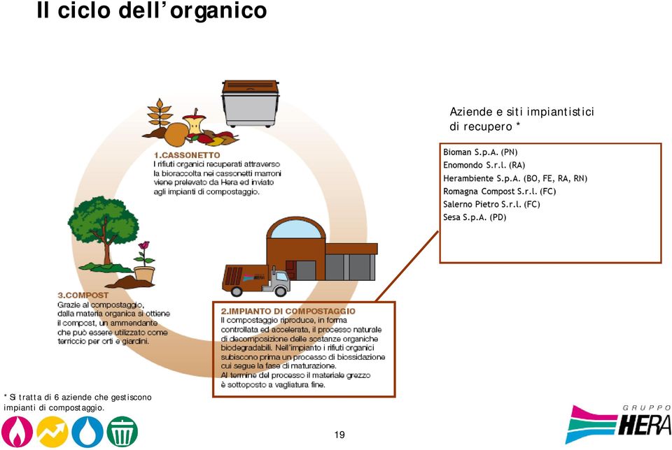 * Si tratta di 6 aziende che