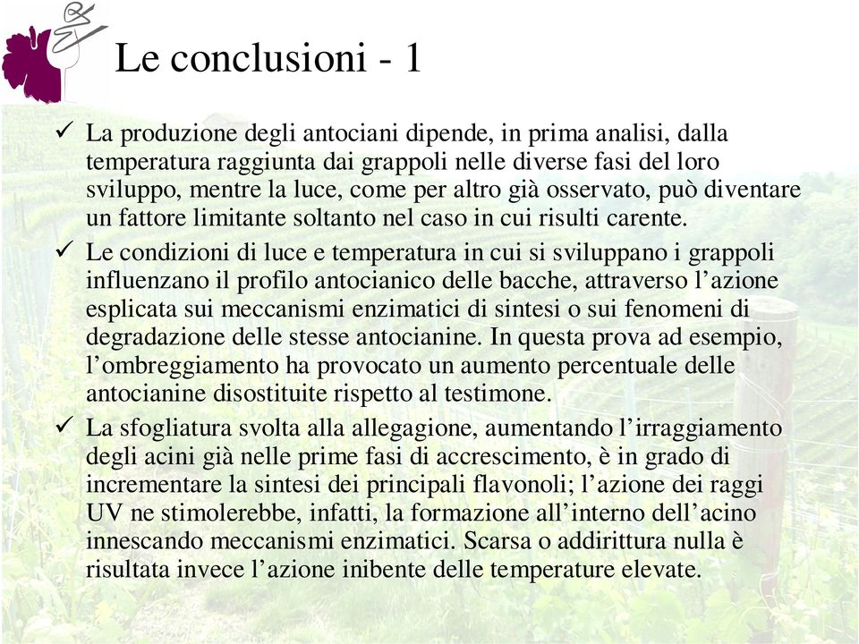 Le condizioni di luce e temperatura in cui si sviluppano i grappoli influenzano il profilo antocianico delle bacche, attraverso l azione esplicata sui meccanismi enzimatici di sintesi o sui fenomeni