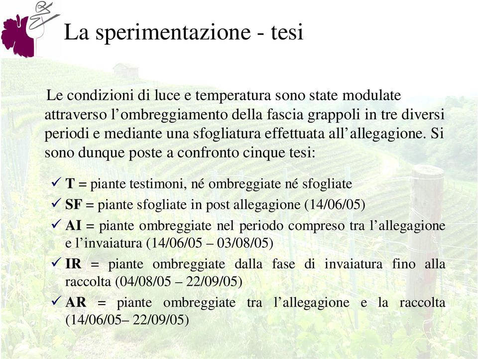 Si sono dunque poste a confronto cinque tesi: T = piante testimoni, né ombreggiate né sfogliate SF = piante sfogliate in post allegagione (14/06/05) AI =