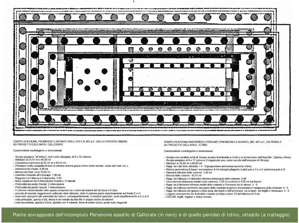 Callicrate (in nero) e di quello