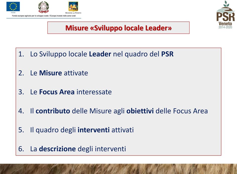 Le Misure attivate 3. Le Focus Area interessate 4.