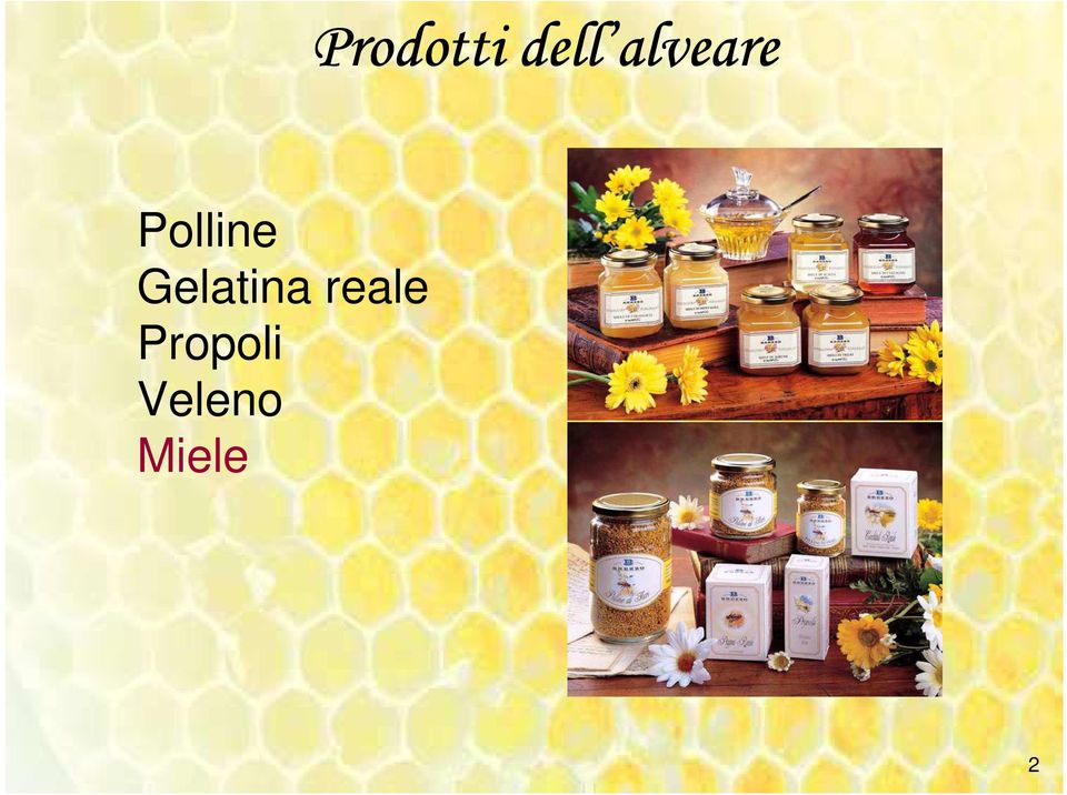 Gelatina reale