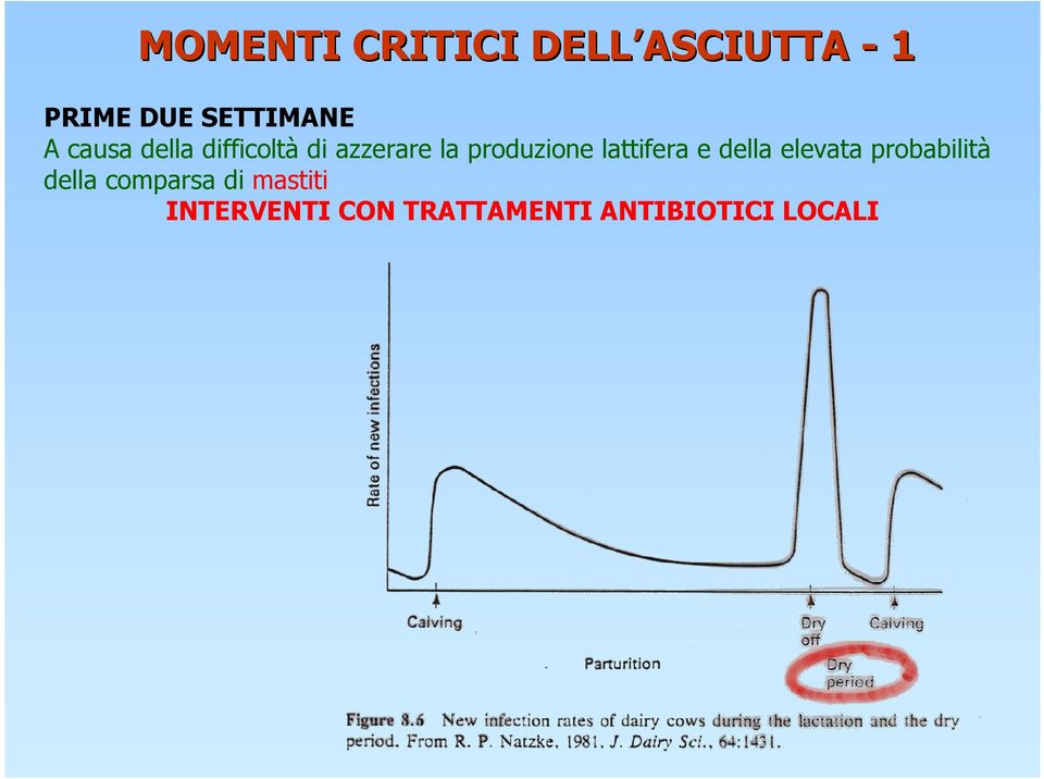 lattifera e della elevata probabilità della comparsa