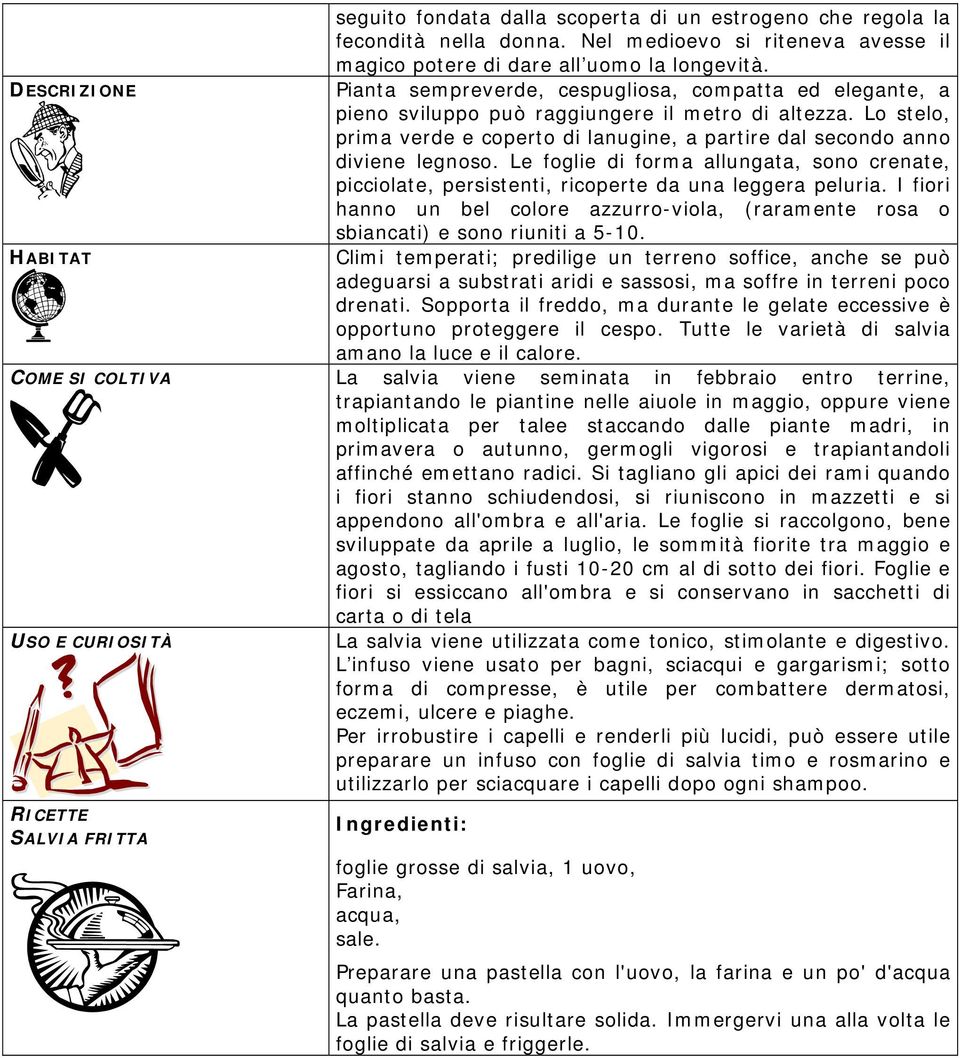 Lo stelo, prima verde e coperto di lanugine, a partire dal secondo anno diviene legnoso. Le foglie di forma allungata, sono crenate, picciolate, persistenti, ricoperte da una leggera peluria.