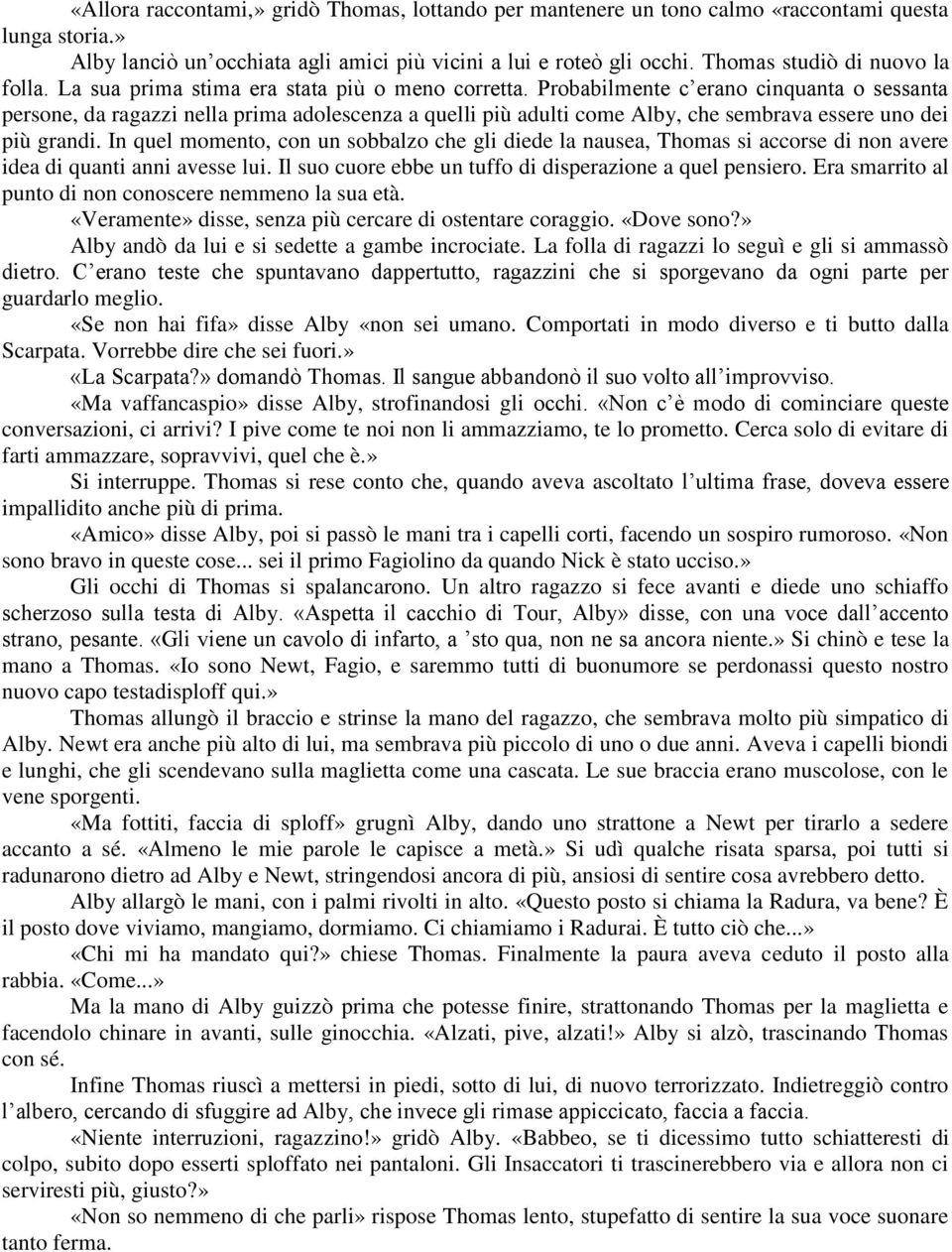 Probabilmente c erano cinquanta o sessanta persone, da ragazzi nella prima adolescenza a quelli più adulti come Alby, che sembrava essere uno dei più grandi.