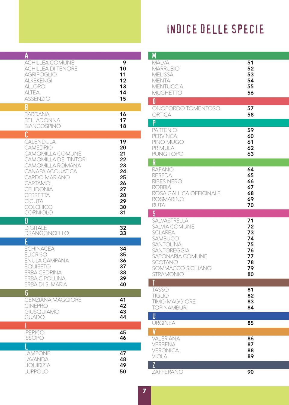 ECHINACEA 34 ELICRISO 35 ENULA CAMPANA 36 EQUISETO 37 ERBA CEDRINA 38 ERBA CIPOLLINA 39 ERBA DI S.