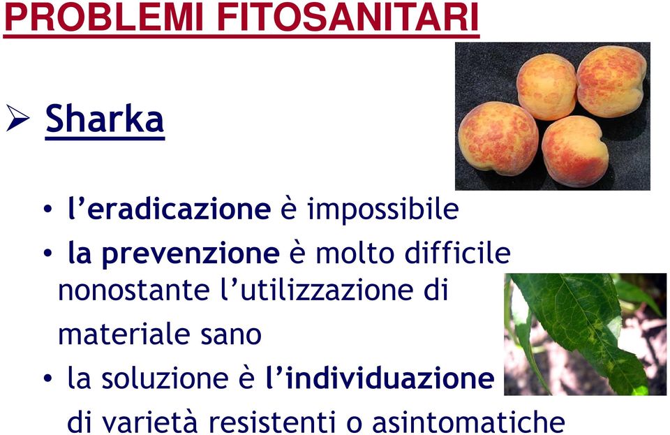 nonostante l utilizzazione di materiale sano la