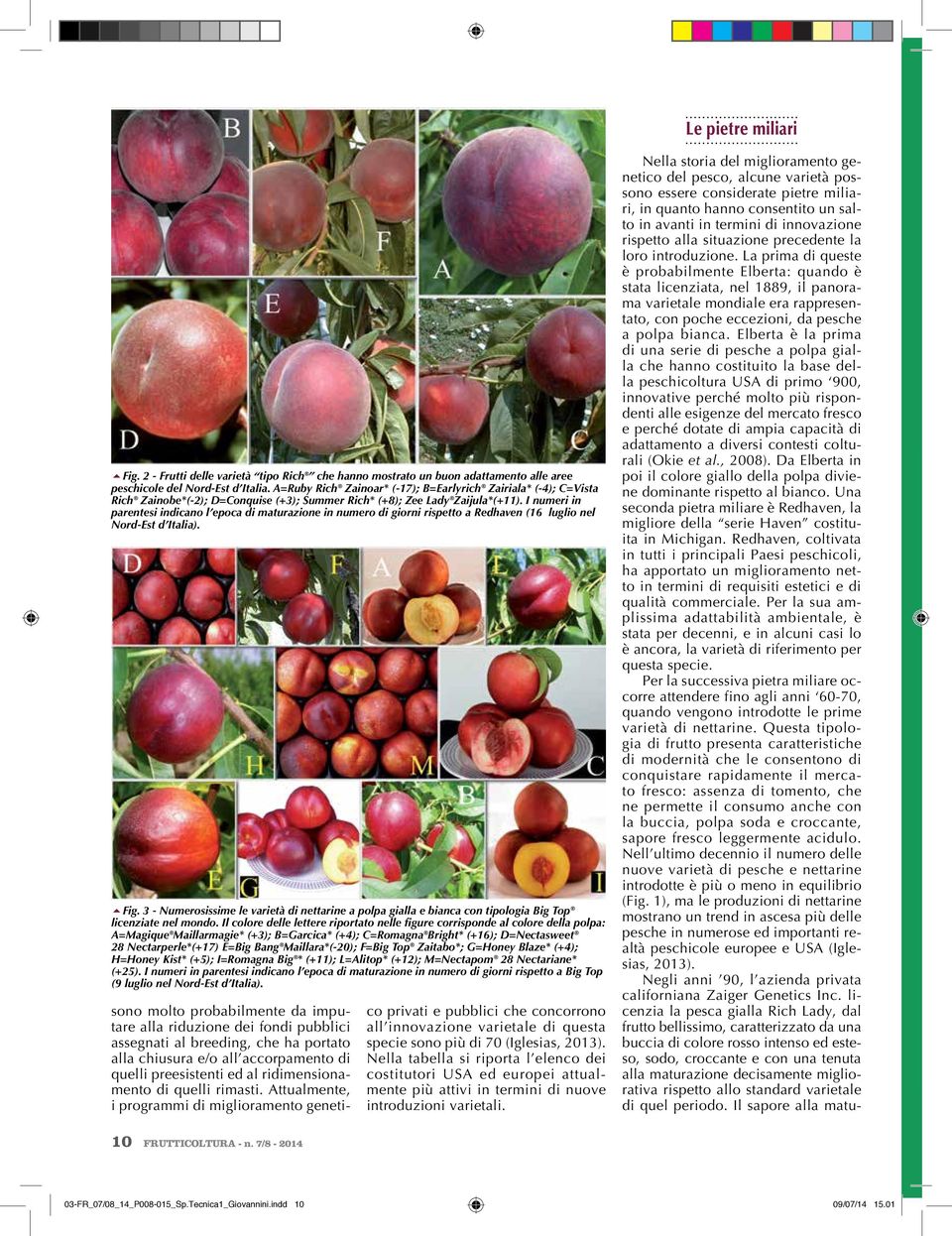 I numeri in parentesi indicano l epoca di maturazione in numero di giorni rispetto a Redhaven (16 luglio nel Nord-Est d ). 5Fig.