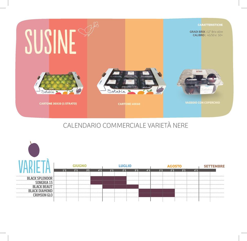 VARIETÀ NERE GIUGNO LUGLIO AGOSTO SETTEMBRE 1 S 2 S 3 S 4 S 1 S 2 S 3 S