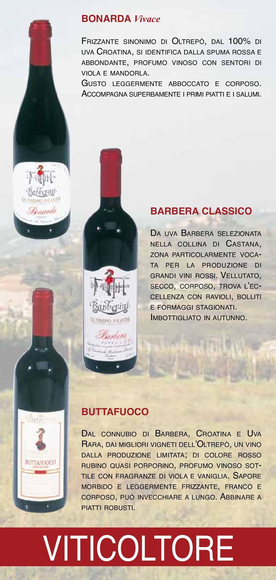 BARBERA CLASSICO DA UVA BARBERA SELEZIONATA NELLA COLLINA DI CASTANA, ZONA PARTICOLARMENTE VOCA- TA PER LA PRODUZIONE DI GRANDI VINI ROSSI.