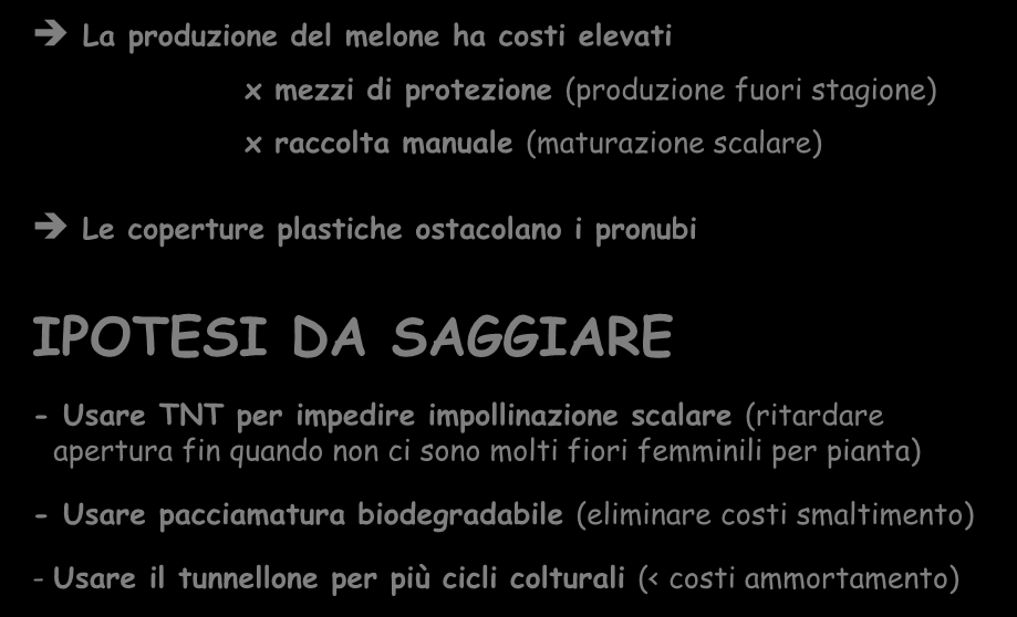 La produzione del melone ha costi elevati x mezzi di protezione (produzione fuori stagione) x raccolta manuale (maturazione scalare) Le coperture plastiche ostacolano i pronubi IPOTESI DA SAGGIARE -