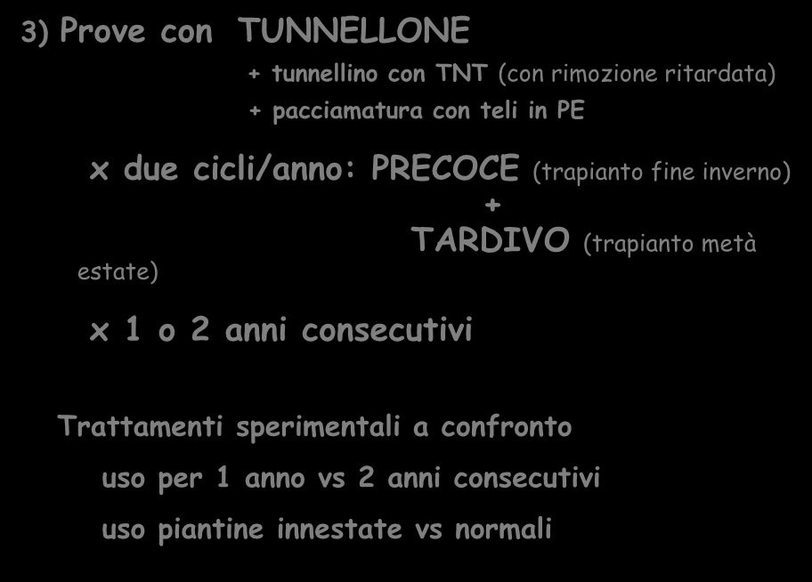 3) Prove con TUNNELLONE + tunnellino con TNT (con rimozione ritardata) + pacciamatura con teli in PE x due cicli/anno: PRECOCE (trapianto fine inverno) +