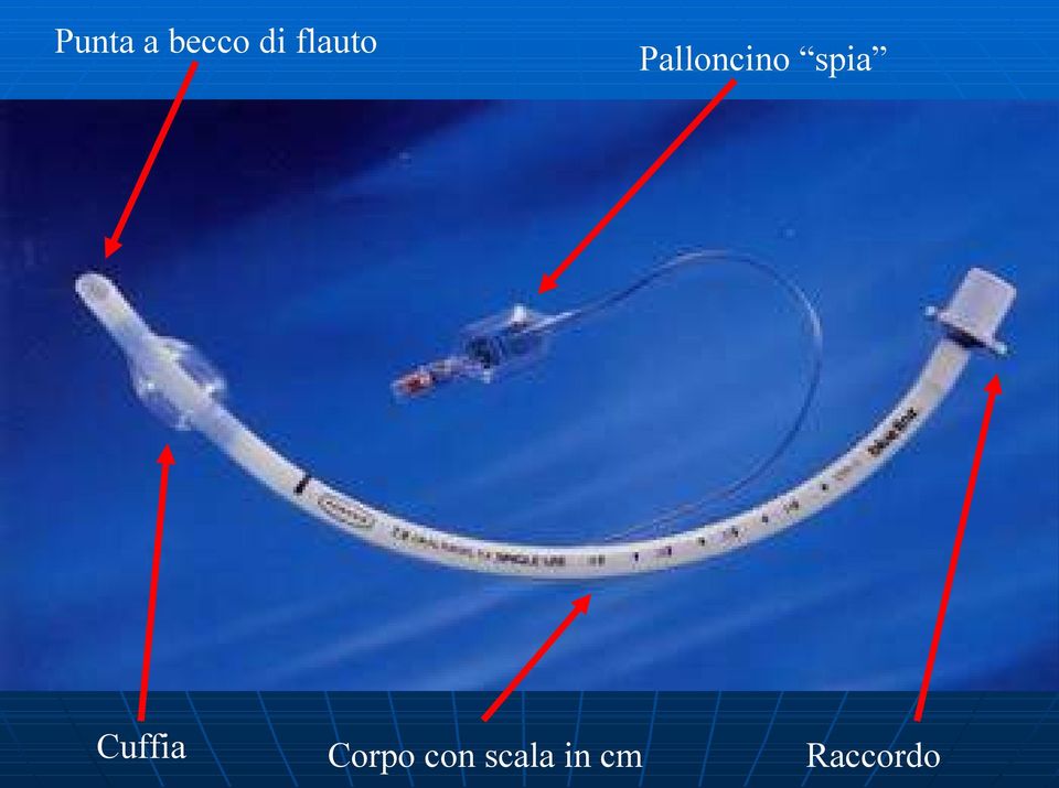 spia Cuffia Corpo