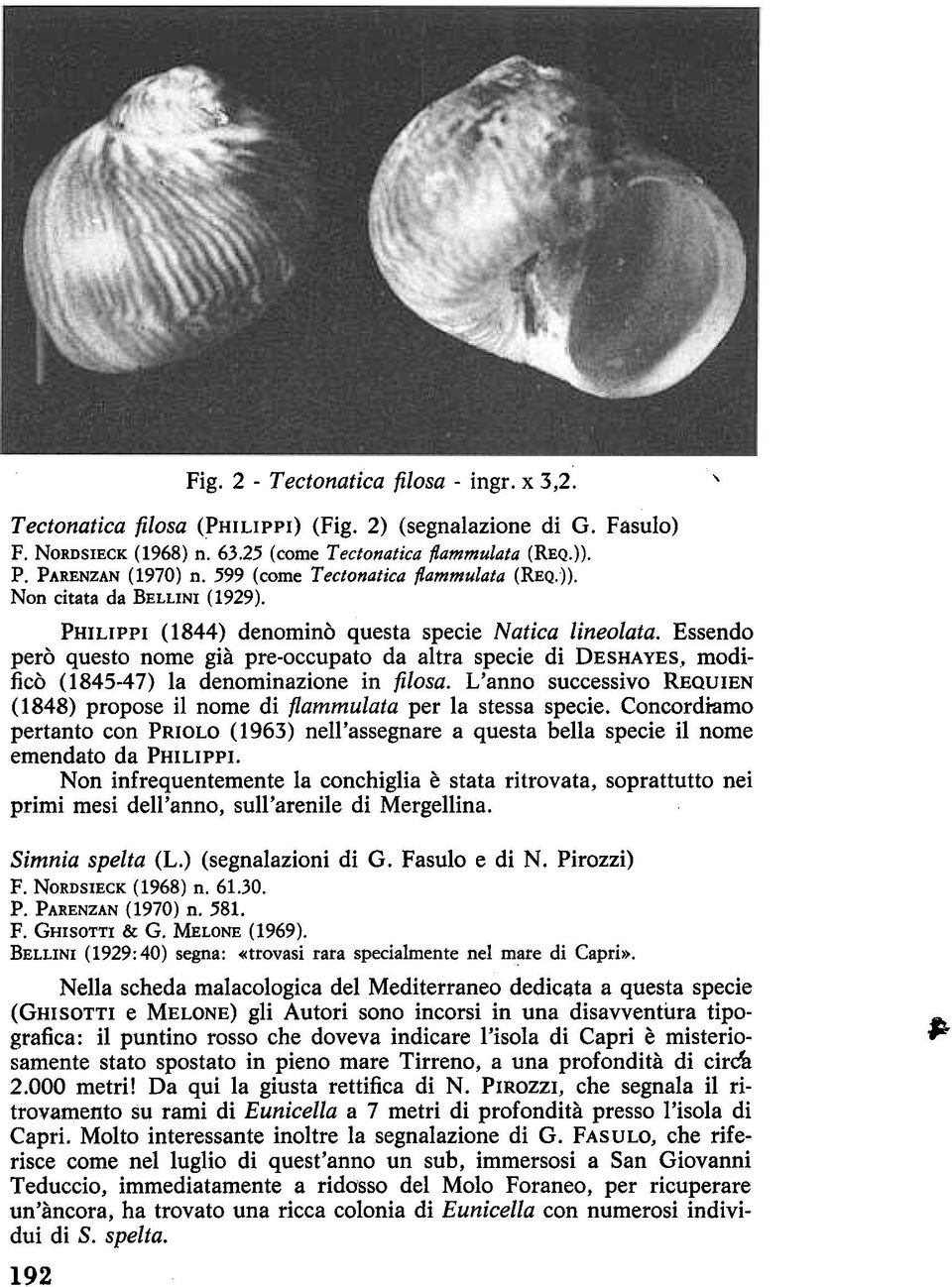 modificò (1845-47) la denominazione in filosa. L'anno successivo REQUIEN (1848) propose il nome di fiammulata per la stessa specie.