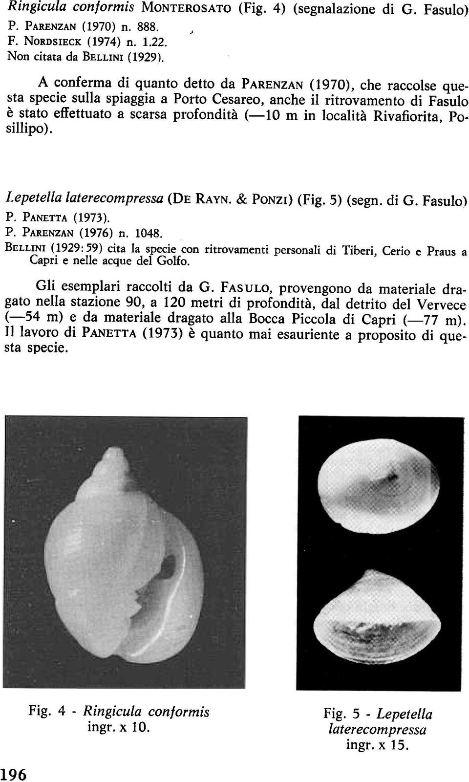 Rivafiorita, Posillipo). Lepetella laterecompressa (DE RAYN. & PONZI) (Fig. 5) (segn. di G. Fasulo) P. PANETTA (1973). P. PARENZAN (1976) n. 1048.