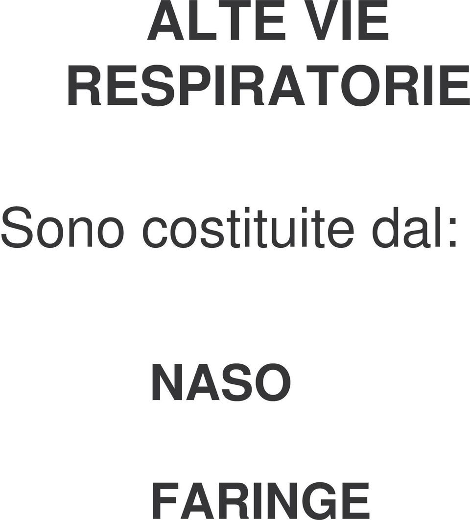 Sono