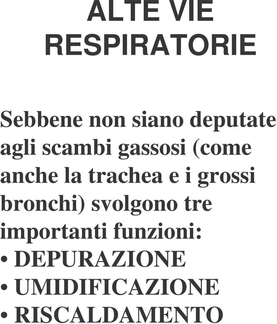 trachea e i grossi bronchi) svolgono tre