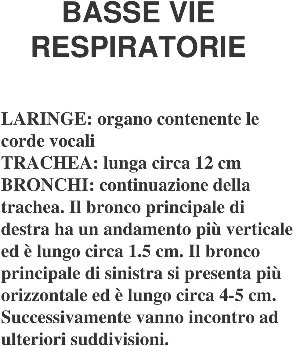 Il bronco principale di destra ha un andamento più verticale ed è lungo circa 1.5 cm.