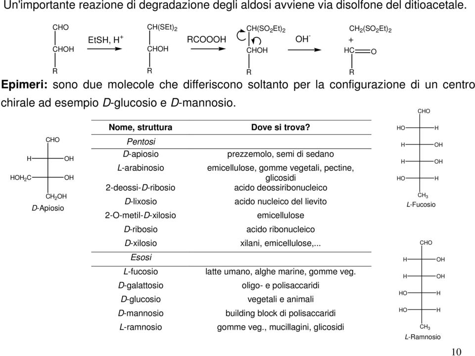 R R C Nome, struttura Dove si trova?