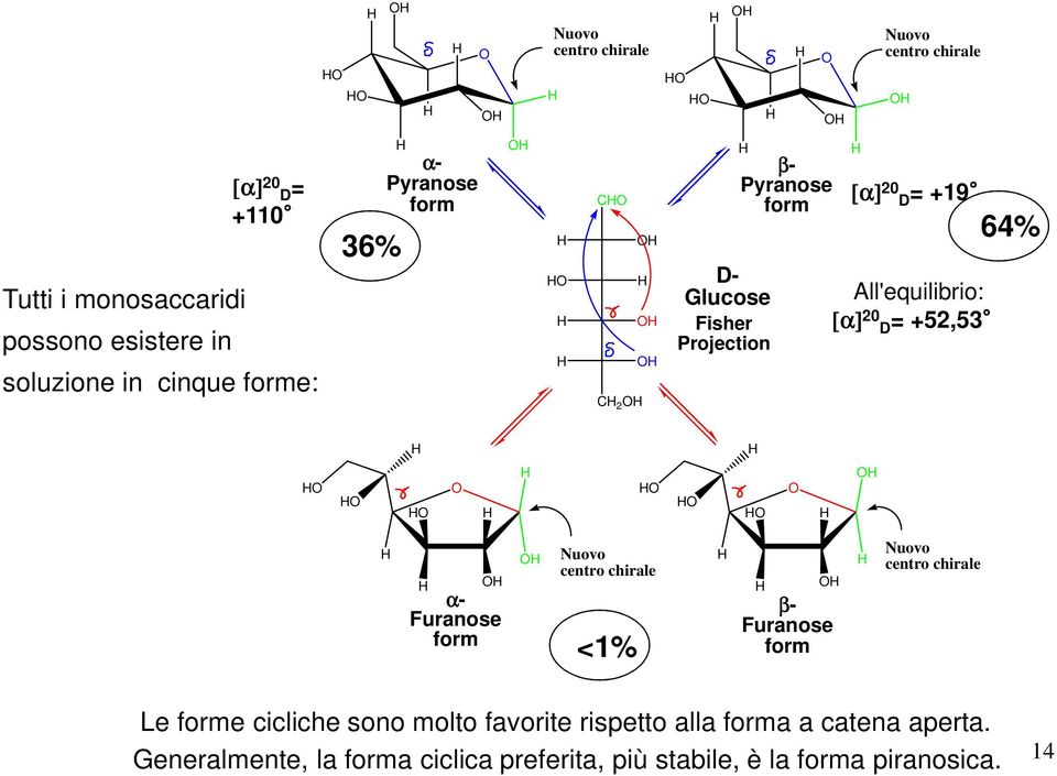 +52,53 64% α- Furanose form Nuovo centro chirale <1% β- Furanose form Nuovo centro chirale Le forme cicliche sono molto