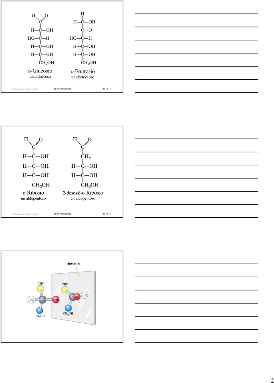 4 D-Ribosio un aldopentoso 2-desossi-D-Ribosio un aldopentoso