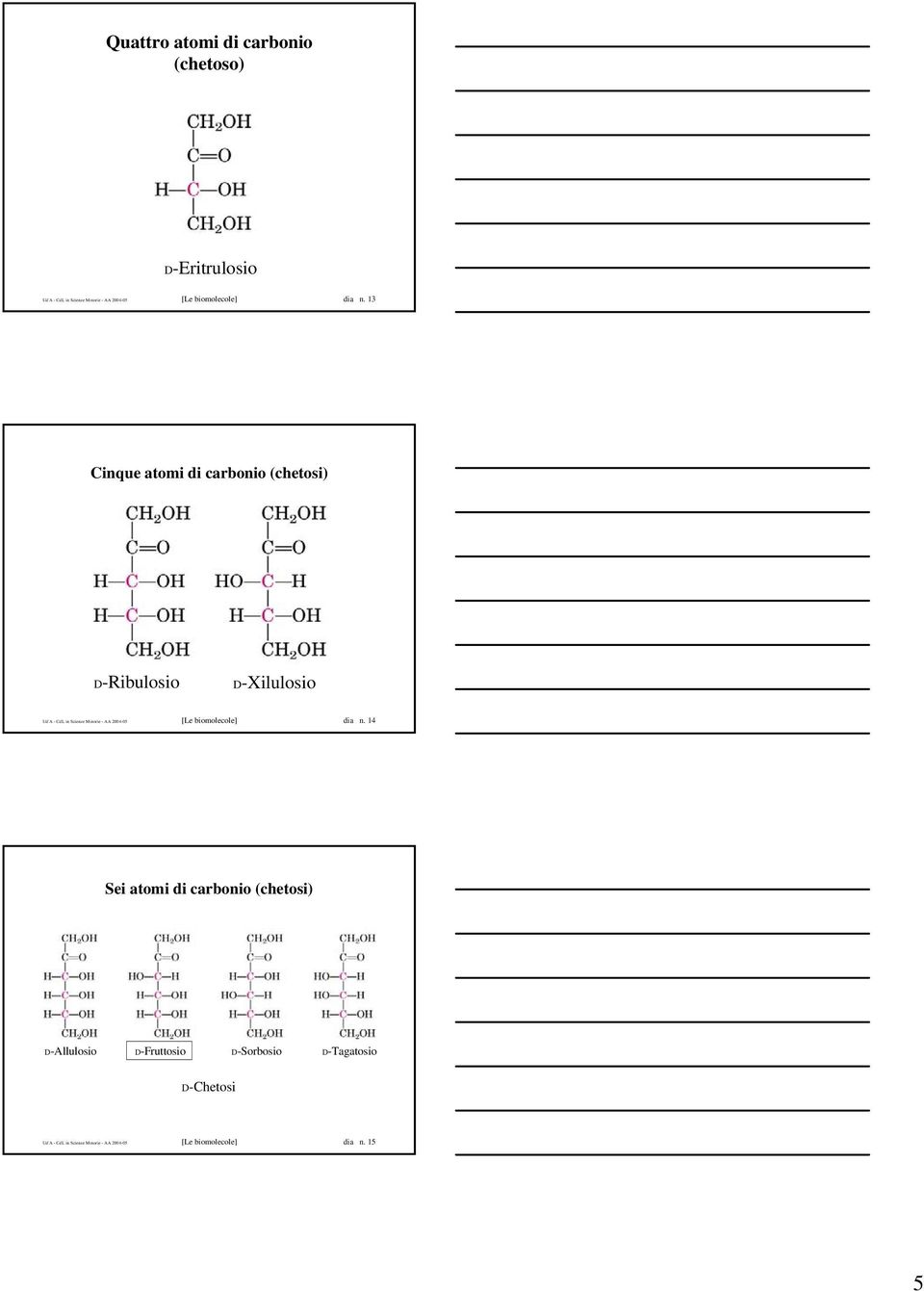 13 Cinque atomi di carbonio (chetosi) D-Ribulosio D-Xilulosio Ud'A - CdL in Scienze Motorie - AA