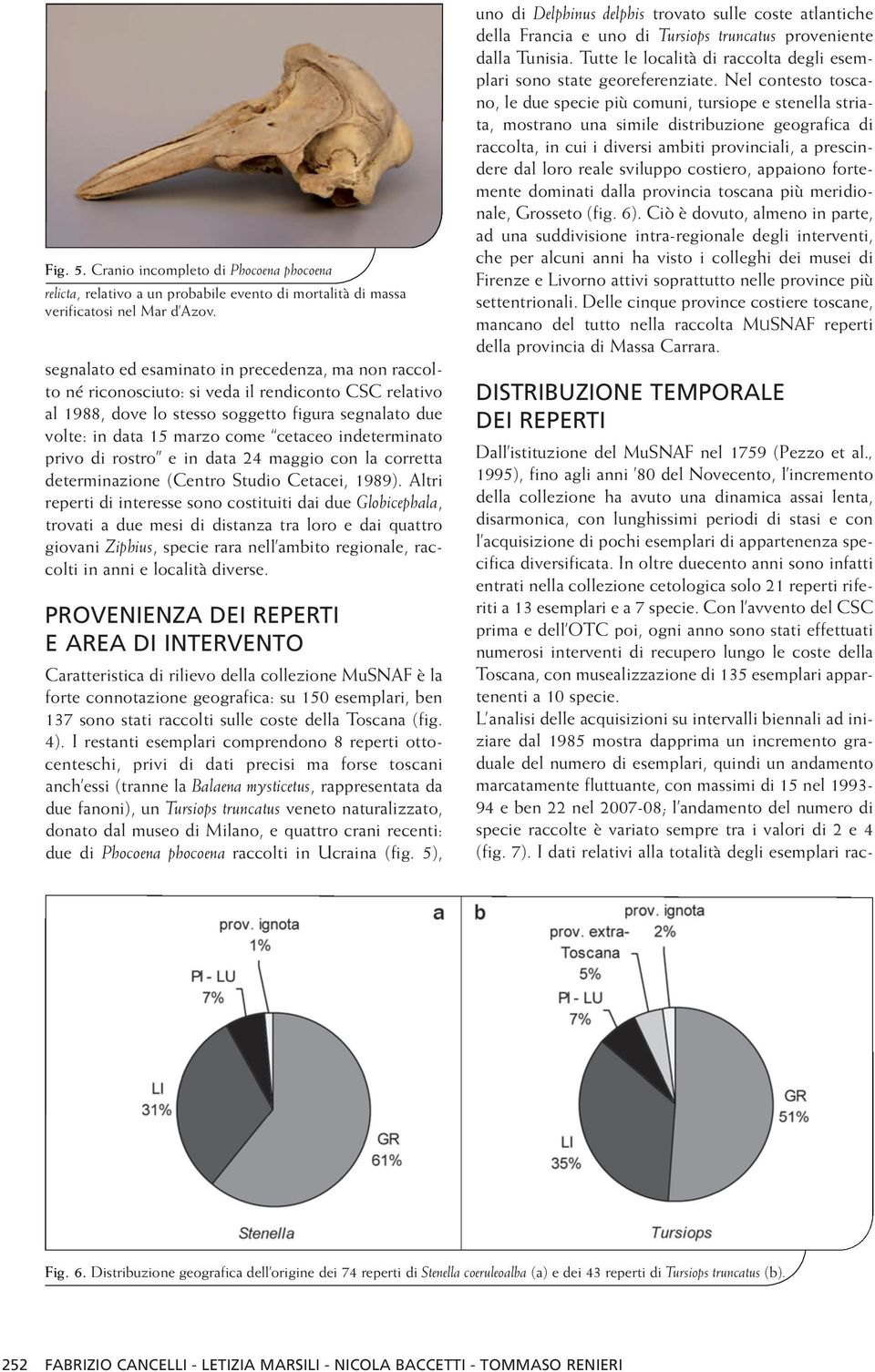 indeterminato privo di rostro e in data 24 maggio con la corretta determinazione (Centro Studio Cetacei, 1989).