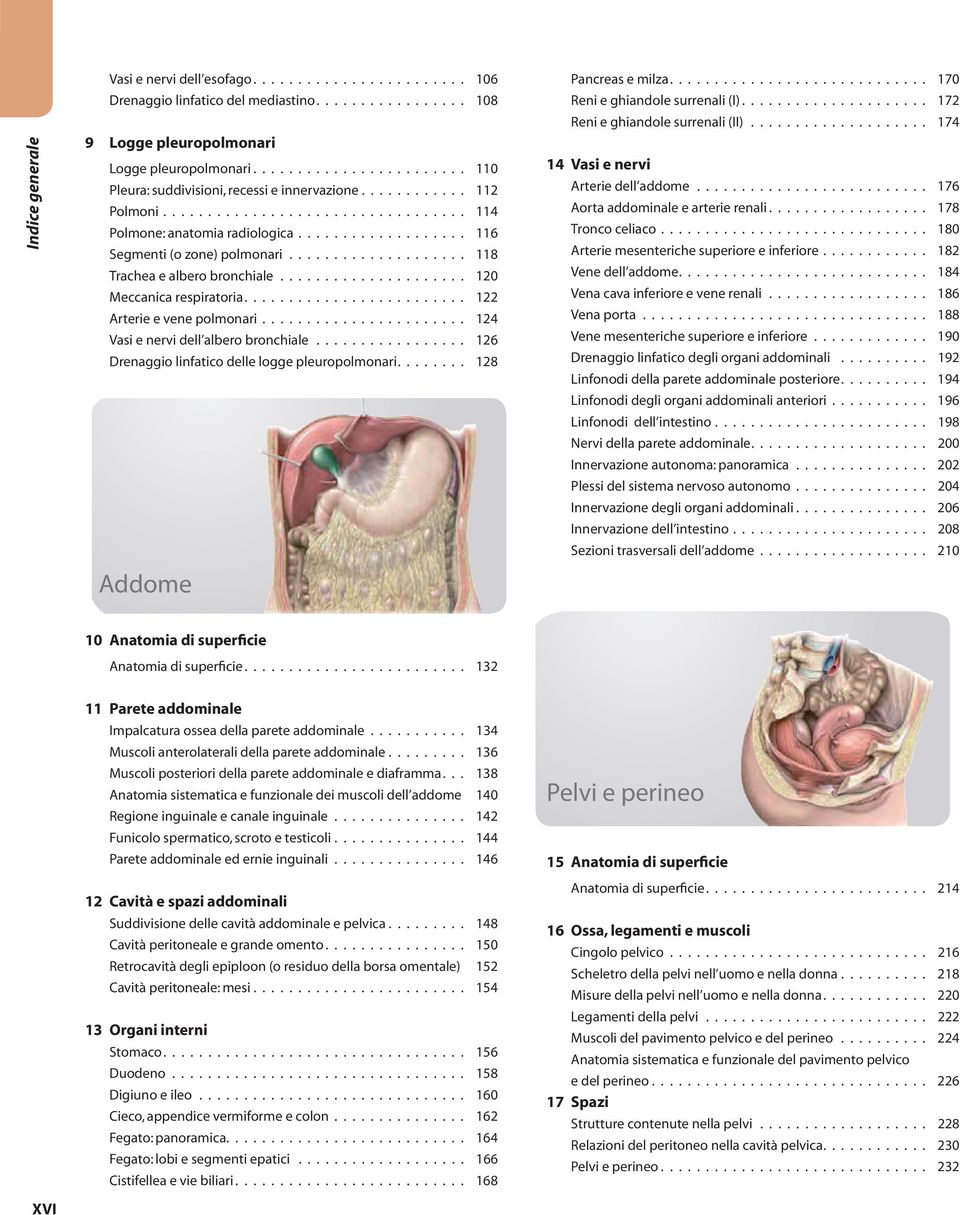 ................... 118 Trachea e albero bronchiale..................... 120 Meccanica respiratoria......................... 122 Arterie e vene polmonari....................... 124 Vasi e nervi dell albero bronchiale.