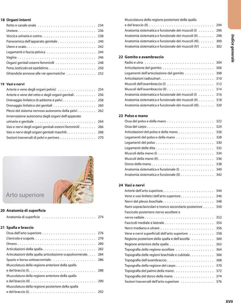 ................. 248 Pene, testicolo ed epididimo..................... 250 Ghiandole annesse alle vie spermatiche............. 252 19 Vasi e nervi Arterie e vene degli organi pelvici.