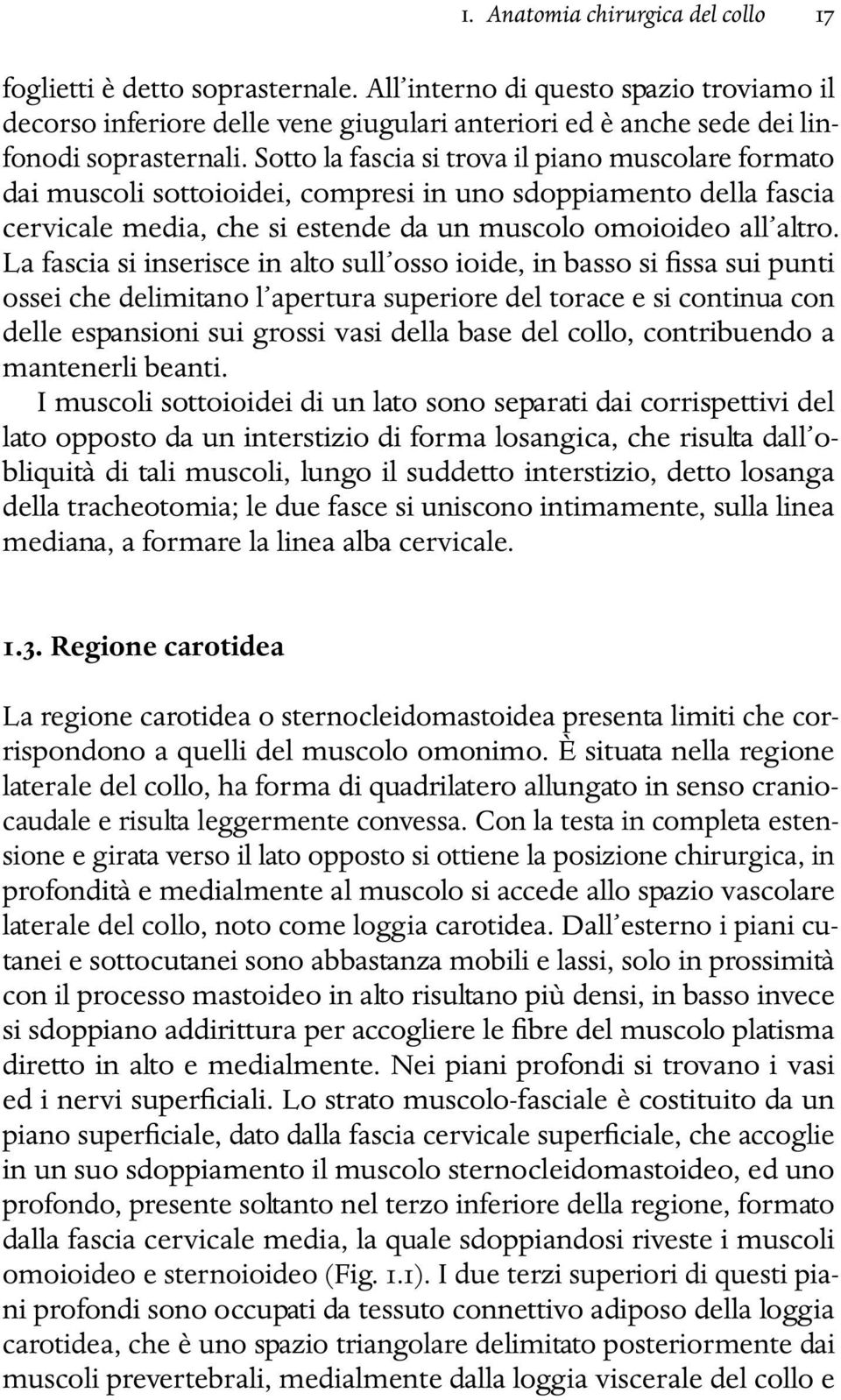 Sotto la fascia si trova il piano muscolare formato dai muscoli sottoioidei, compresi in uno sdoppiamento della fascia cervicale media, che si estende da un muscolo omoioideo all altro.