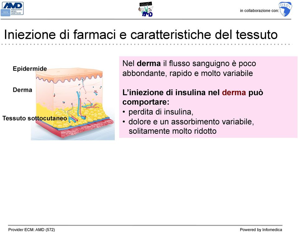 rapido e molto variabile L iniezione di insulina nel derma può