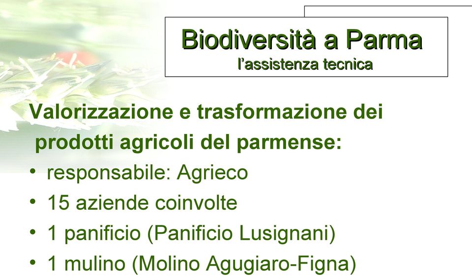 parmense: responsabile: Agrieco 15 aziende