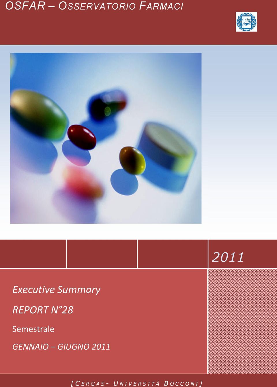 annuale per il 2010 Executive Summary REPORT N 28